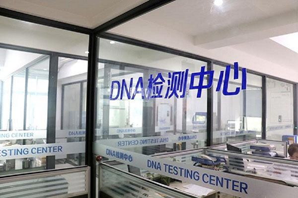 温州DNA鉴定机构真的可靠吗？（揭示DNA鉴定机构的可靠性） 